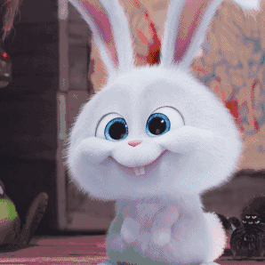 【官兔招募】兔兔你在哪里